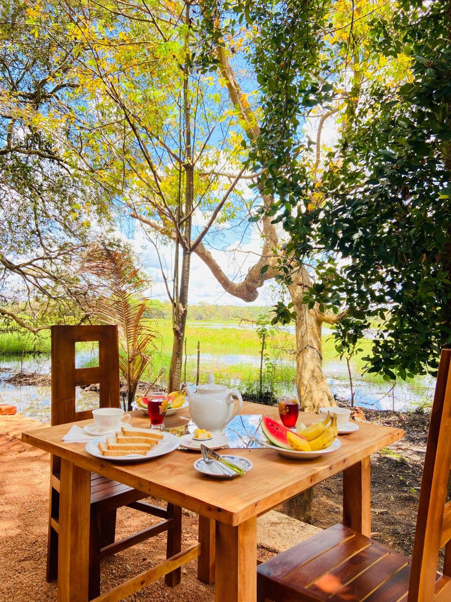 Nature Lotus Villa Dambulla Dış mekan fotoğraf