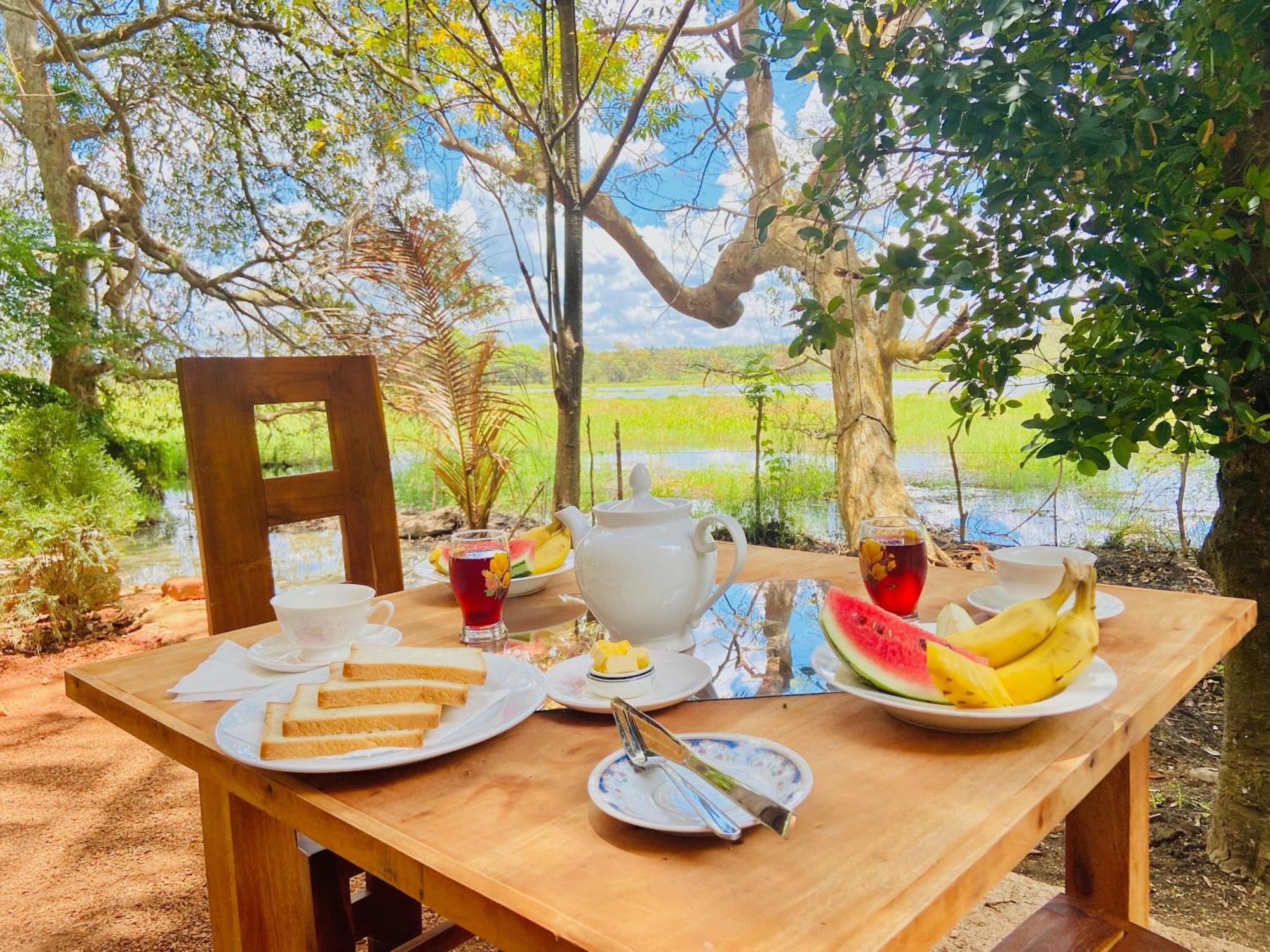 Nature Lotus Villa Dambulla Dış mekan fotoğraf