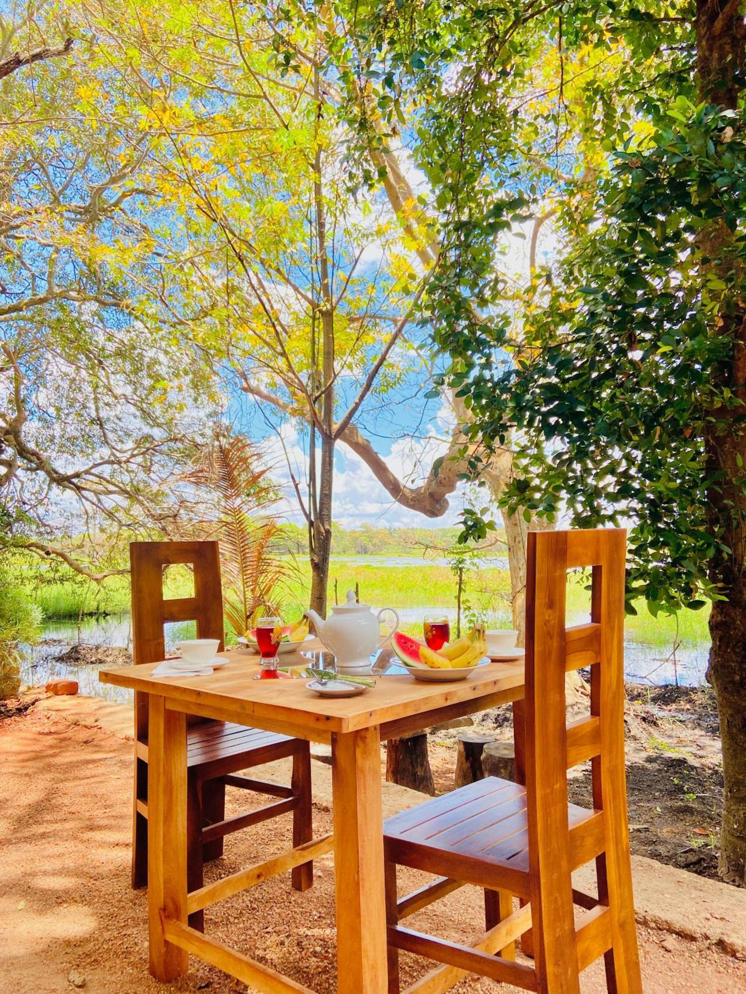 Nature Lotus Villa Dambulla Dış mekan fotoğraf