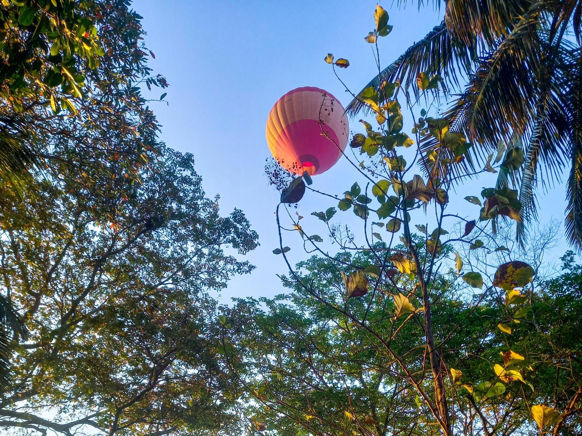 Nature Lotus Villa Dambulla Dış mekan fotoğraf