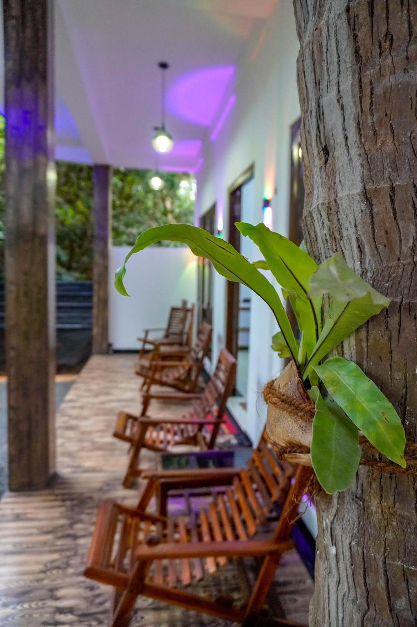 Nature Lotus Villa Dambulla Dış mekan fotoğraf