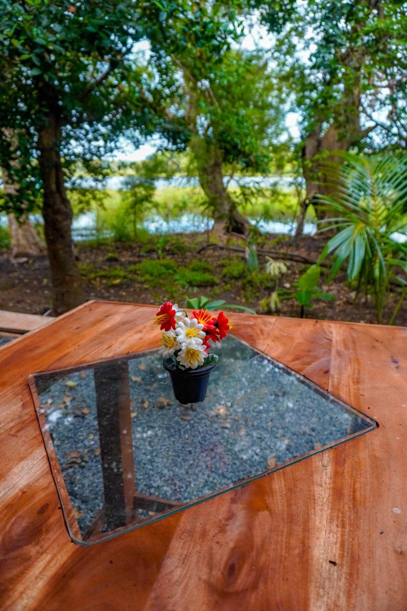 Nature Lotus Villa Dambulla Dış mekan fotoğraf