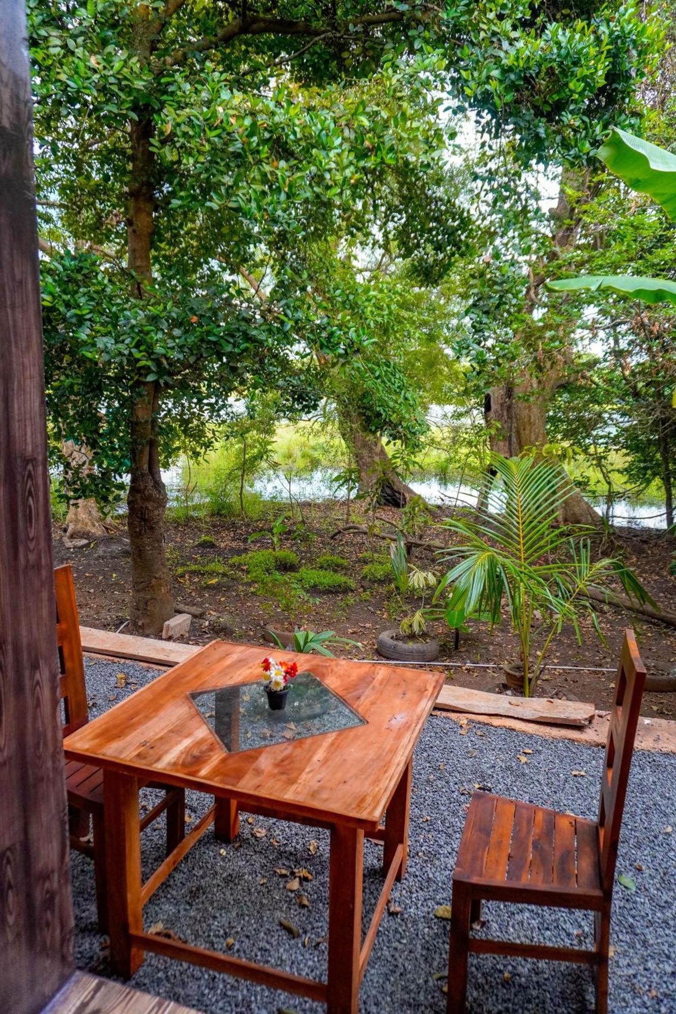 Nature Lotus Villa Dambulla Dış mekan fotoğraf
