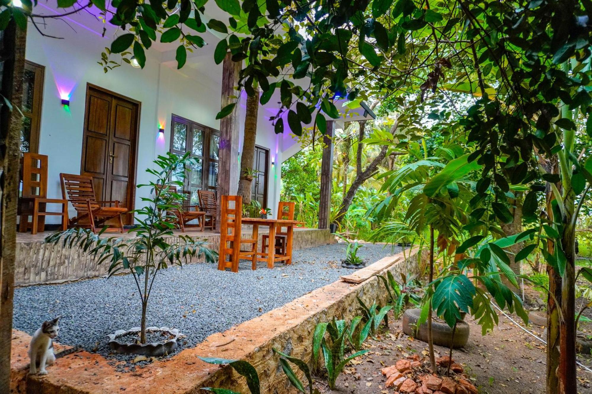 Nature Lotus Villa Dambulla Dış mekan fotoğraf