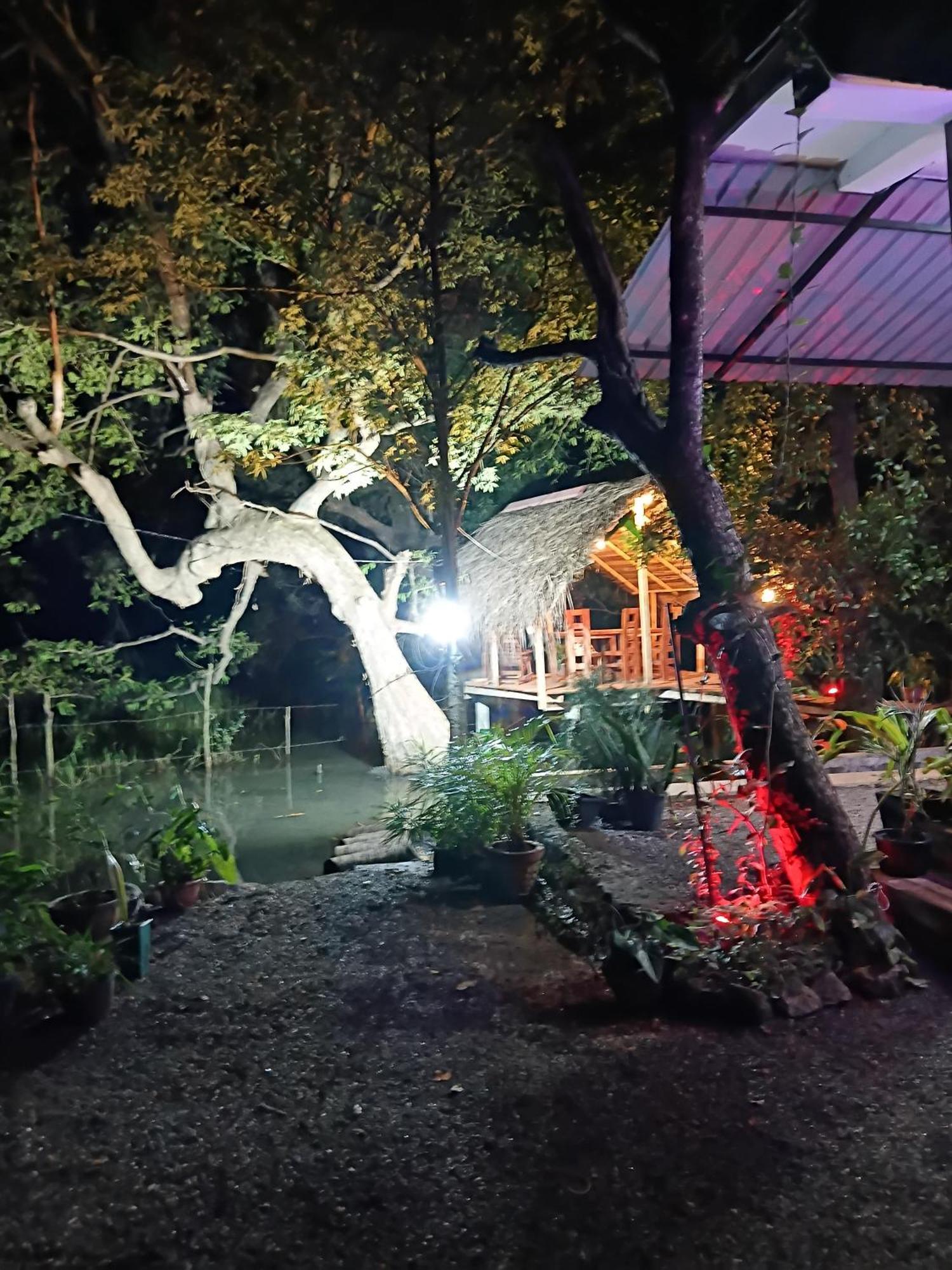 Nature Lotus Villa Dambulla Dış mekan fotoğraf