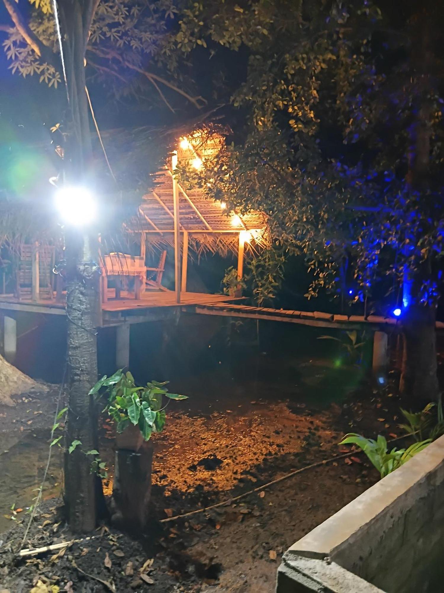 Nature Lotus Villa Dambulla Dış mekan fotoğraf